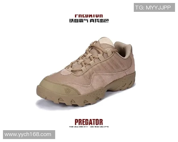 重庆攀岩队整体压制打法深度分析与战术解读