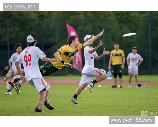 飞盘飞扬：深圳飞盘队拼搏与成长的真实故事