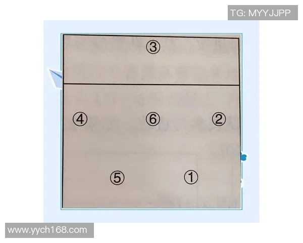 重庆排球队反击战术全解析深度剖析排球背后的策略与技巧 重庆排球队反击战术全解析深度剖析排球背后的策略与技巧