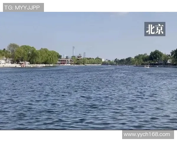 权健迎战北京人和全力争胜力争冲击联赛前列 权健迎战北京人和全力争胜力争冲击联赛前列