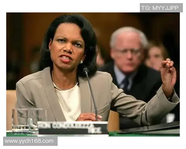 赖斯的崛起与挑战：探索其在国际关系中的影响与未来发展趋势