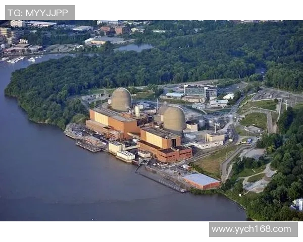 比拉尔库利巴利的崛起与未来发展潜力分析