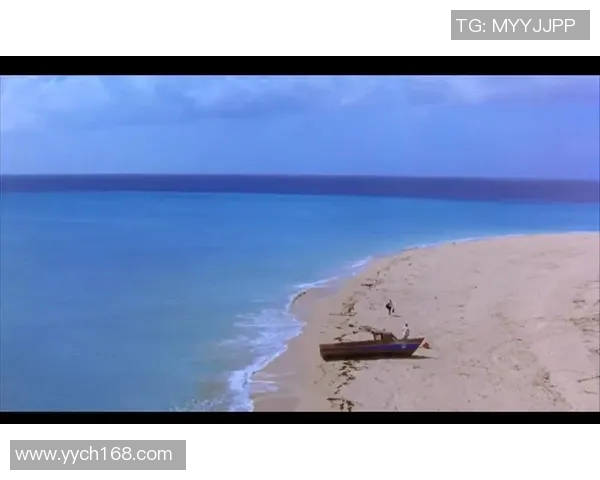 陈丽的网球人生深度对话探索她的成长与梦想之路MBA 陈丽的网球人生深度对话探索她的成长与梦想之路MBA