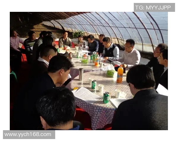 北京极限运动队灵活性表现的数据分析与优化策略探讨MBA 北京极限运动队灵活性表现的数据分析与优化策略探讨MBA