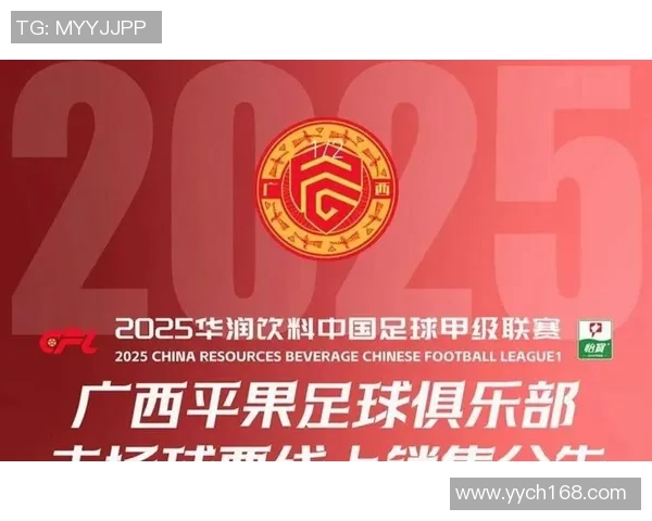 大连一方迎战陕西队力争主场胜利展现球队实力与决心