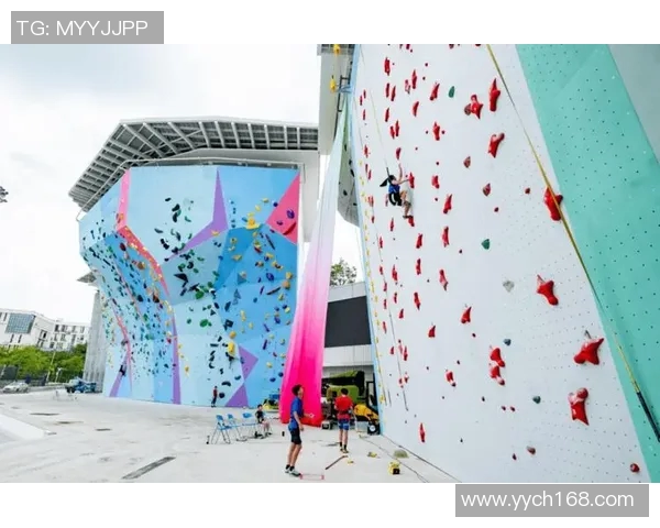 广州攀岩队的拼搏故事与极限运动嘉年华的精彩瞬间MBA