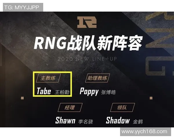 聚焦英雄联盟RNG战队实力分析与未来发展展望MBA