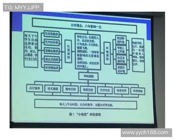 西安羽毛球队比赛经验分析与表现评估的深度研究与探讨