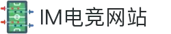 IM(股份有限公司)电竞-电子竞技平台